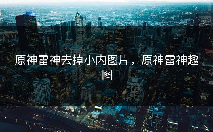 原神雷神去掉小内图片，原神雷神趣图