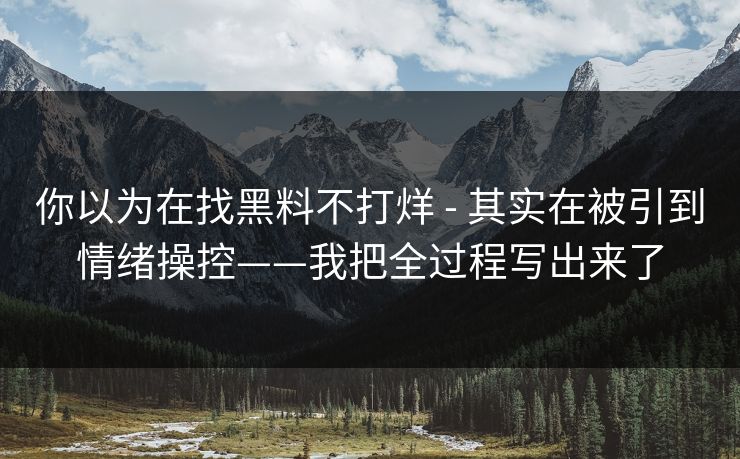 你以为在找黑料不打烊 - 其实在被引到情绪操控——我把全过程写出来了