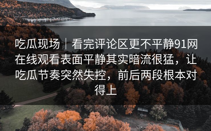 吃瓜现场｜看完评论区更不平静91网在线观看表面平静其实暗流很猛，让吃瓜节奏突然失控，前后两段根本对得上