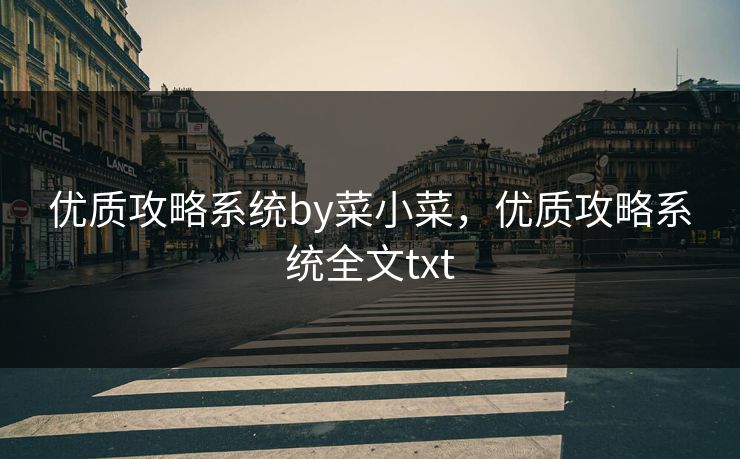 优质攻略系统by菜小菜，优质攻略系统全文txt